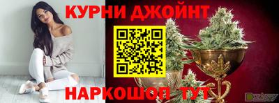 гидра Обнинск