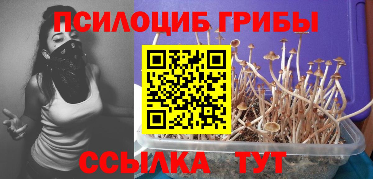 хочу наркоту  Галлюциногенные грибы Cubensis  Вход с VPN  Псилоцибиновые грибы GOLDEN TEACHER  Сланцы 